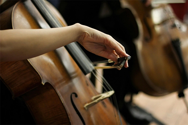 Cello