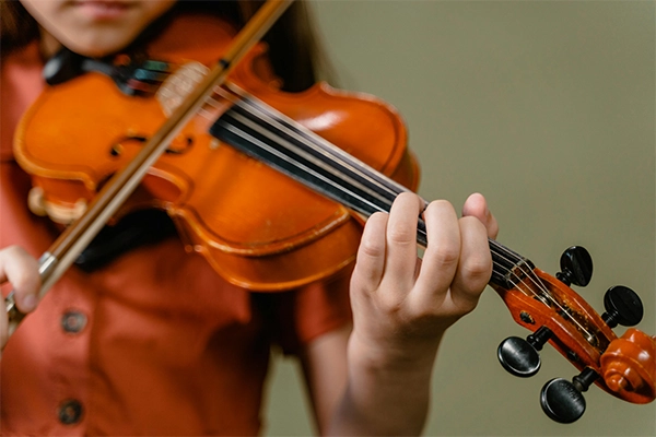 Violin